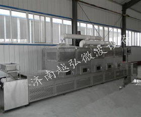 休闲食品微波干燥机灭菌机 漳州微波干燥机 越弘厂家销售
